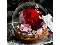 Rosa preservada en cúpula de cristal, regalo para madres, flores de cumpleaños MEOIRUERY