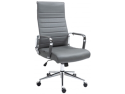 Silla de Escritorio DUDECOR (Acero - Gris)
