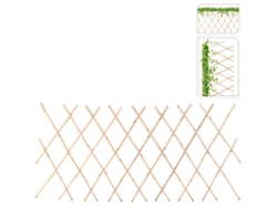 Celosia Plantas Bambu 70x180 Cm