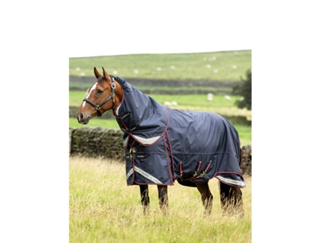 Manta de exterior para caballos LEMIEUX Kudos Thermo Layer 300g