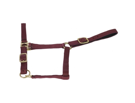 Cabezada para caballos forrada de gamuza T de T