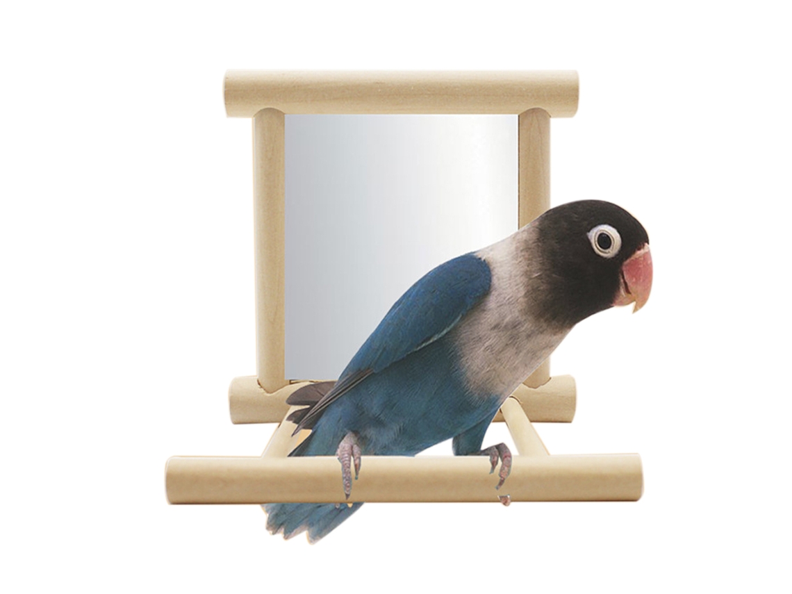 Soporte Para Loros Con Espejo, Accesorio Para Mascotas, Decoración De Madera, Percha.