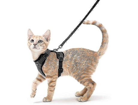 Senderismo Arnés y correa para gatos Arneses de chaleco ajustables suaves Gatos a prueba de escape YDCY Control fácil