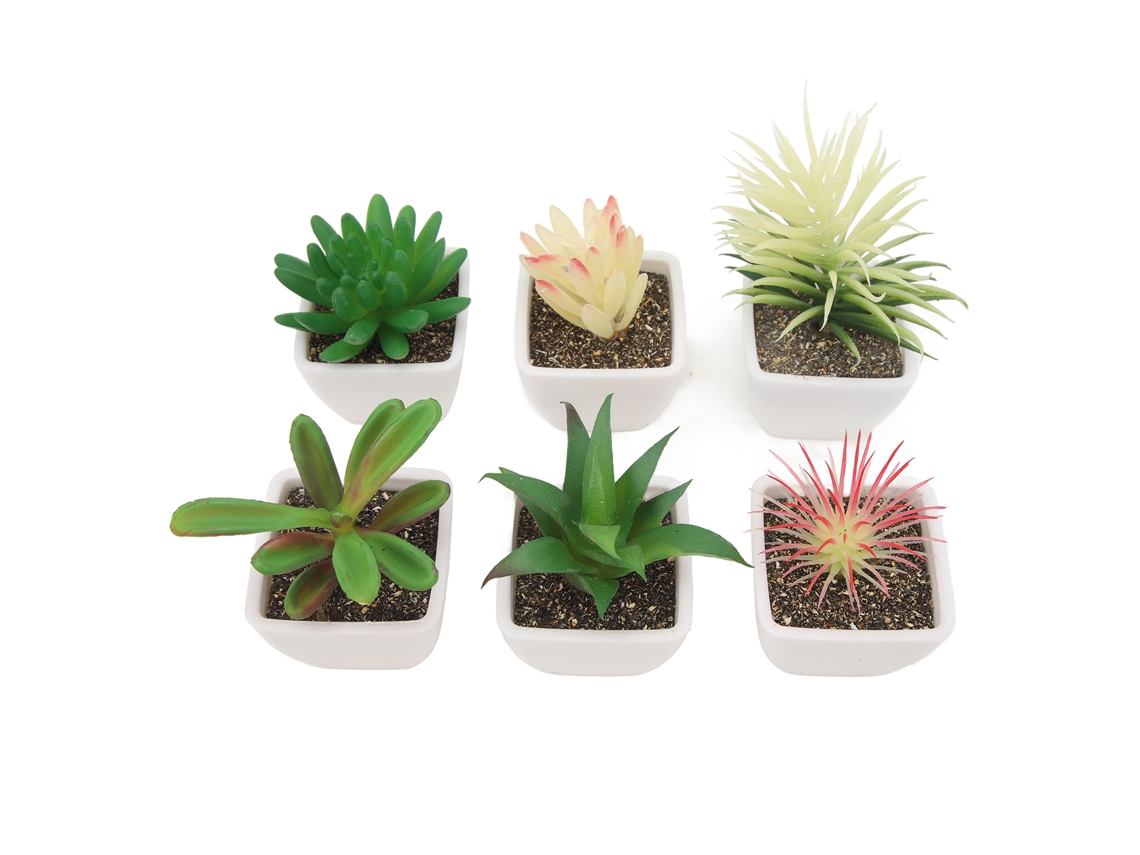 6 Suculentas Artificiales En Maceta De Plástico, Plantas Decorativas Artificiales Para Sala De Estar U Oficina.