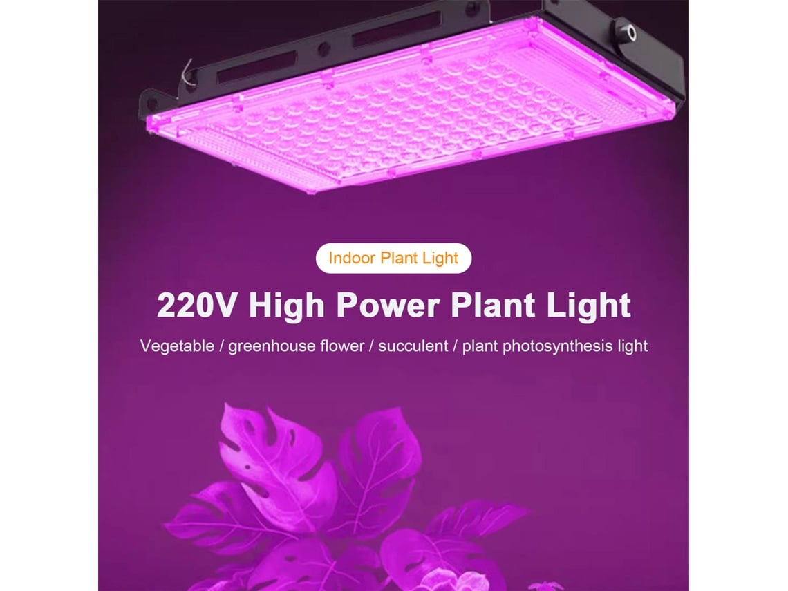 2026-lámpara De Crecimiento Para Plantas Interior Led Espectro Completo Para Suculentas Y Mini Bonsái