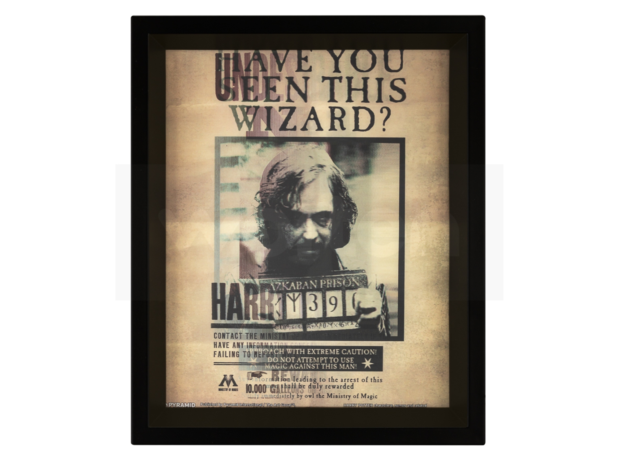 Cartel Harry Potter 3D Harry / Sirius