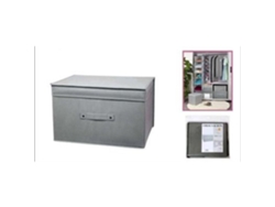 Caja de Almacenamiento VERY LUCKY