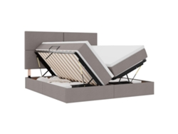 Maison Exclusive - Cama De Almacenamiento Led Con Colchón Topo 180 X 200 Cm Tela