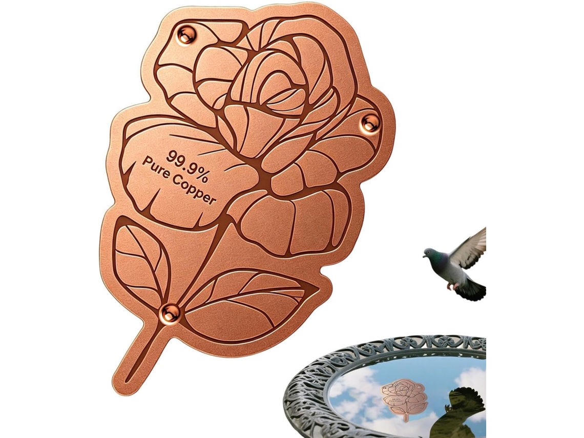 Disco De Cobre Genérico Para Bebederos De Pájaros Ajuste Universal, Soporte Reforzado Triple Y Disco De Limpieza De