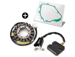 Aplicable A La Bobina Del Estator Y Al Rectificador Regulador Con Junta Para Honda Cbr929 Cbr900 Rry/rr1 Cbr900rr Cbr929rr Fireblade 2000-2001