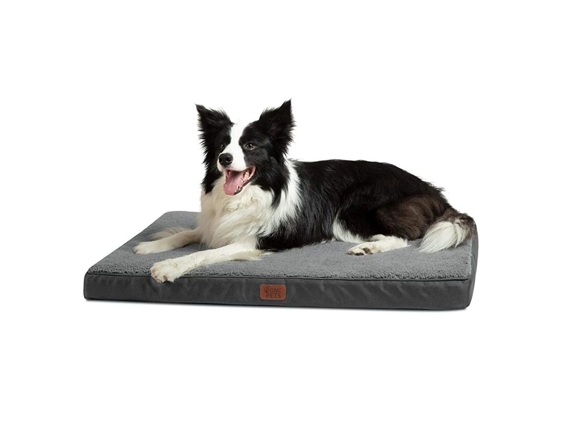 Cama Perro Ortopédica Gris - Colchón Lavable con espuma 51x76x76