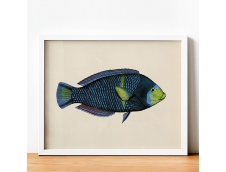 Póster NACNIC de Pez Azul y Verde en , Fondo Papel Vintage.