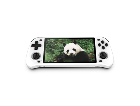 Consola Portátil POWKIDDY RGB10 Max2
