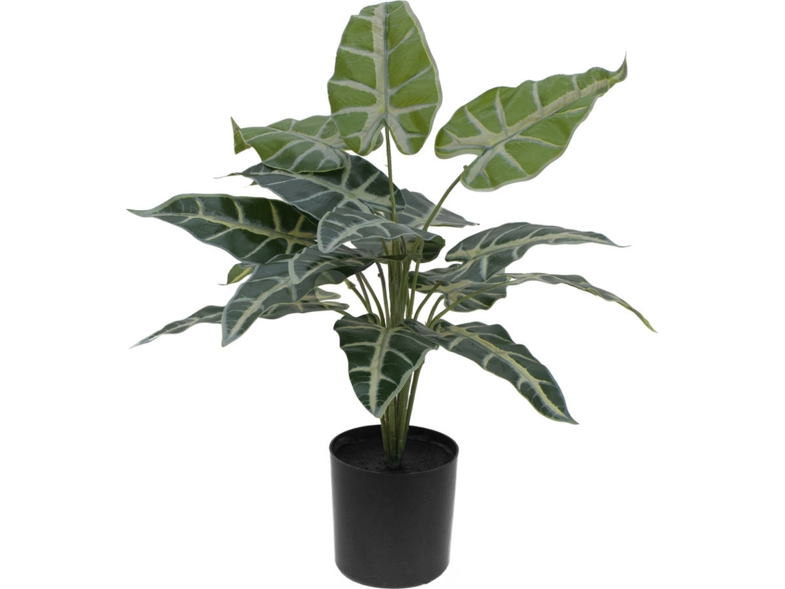Planta Artificial EUROPALMS Caladium (Verde - 38 cm)