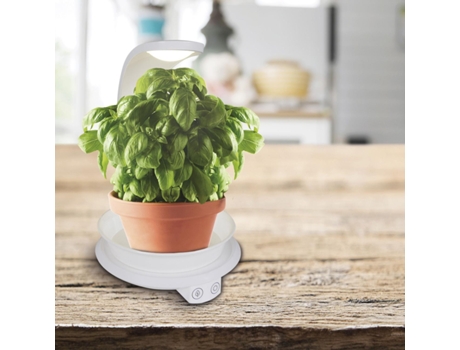 Lámpara de mesa de planta LED H: 24 cm