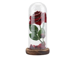Flor preservada con luz LED, vidrio y base de madera