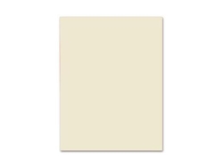 Cartolina Liderpapel 240 Grs 50X65 Cm Salmao