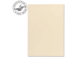 Papel para impresoras de inyección de tinta BLAKE 61676
