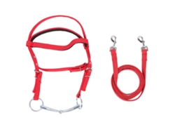Bridle De Cavalo (estiloso Ajustável)