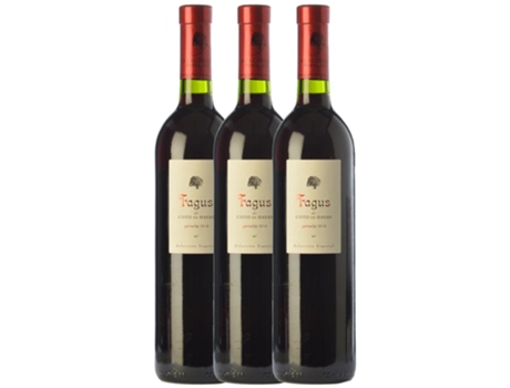 Vino BODEGAS ARAGONESAS Bodegas Aragonesas Fagus De Coto De Hayas Selección Especial Grenache Campo De Borja Crianza (0.75 L - 3 unidades)
