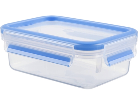 CAIXA CONSERVA TEFAL MASTERS RETAN 0,55L