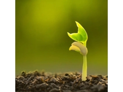 Saco grande de tierra vegetal fertilizada de 1 m³