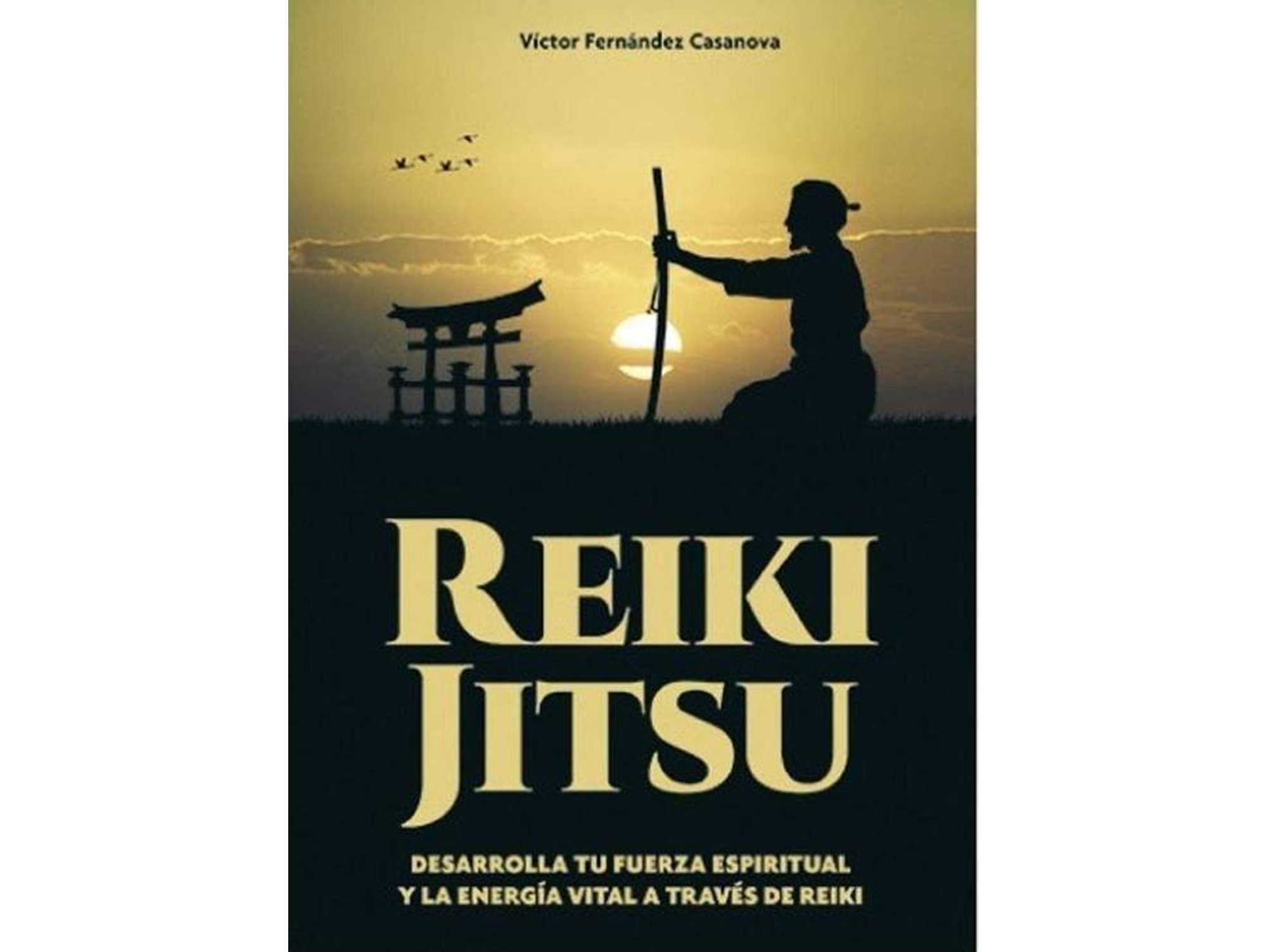 Libro Reiku Jitsu de Victor Fernández Casanova (Español)