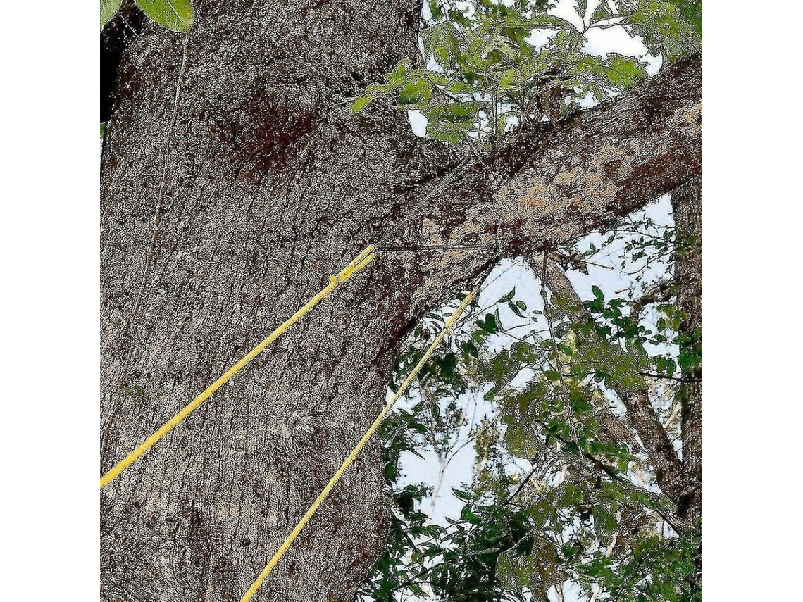 2026-sierra De Cadena Con Cuerda Portátil De 48 Pulgadas Para Árboles De Largo Alcance Hoja Doble 65 Acero Manganeso 25 Pies