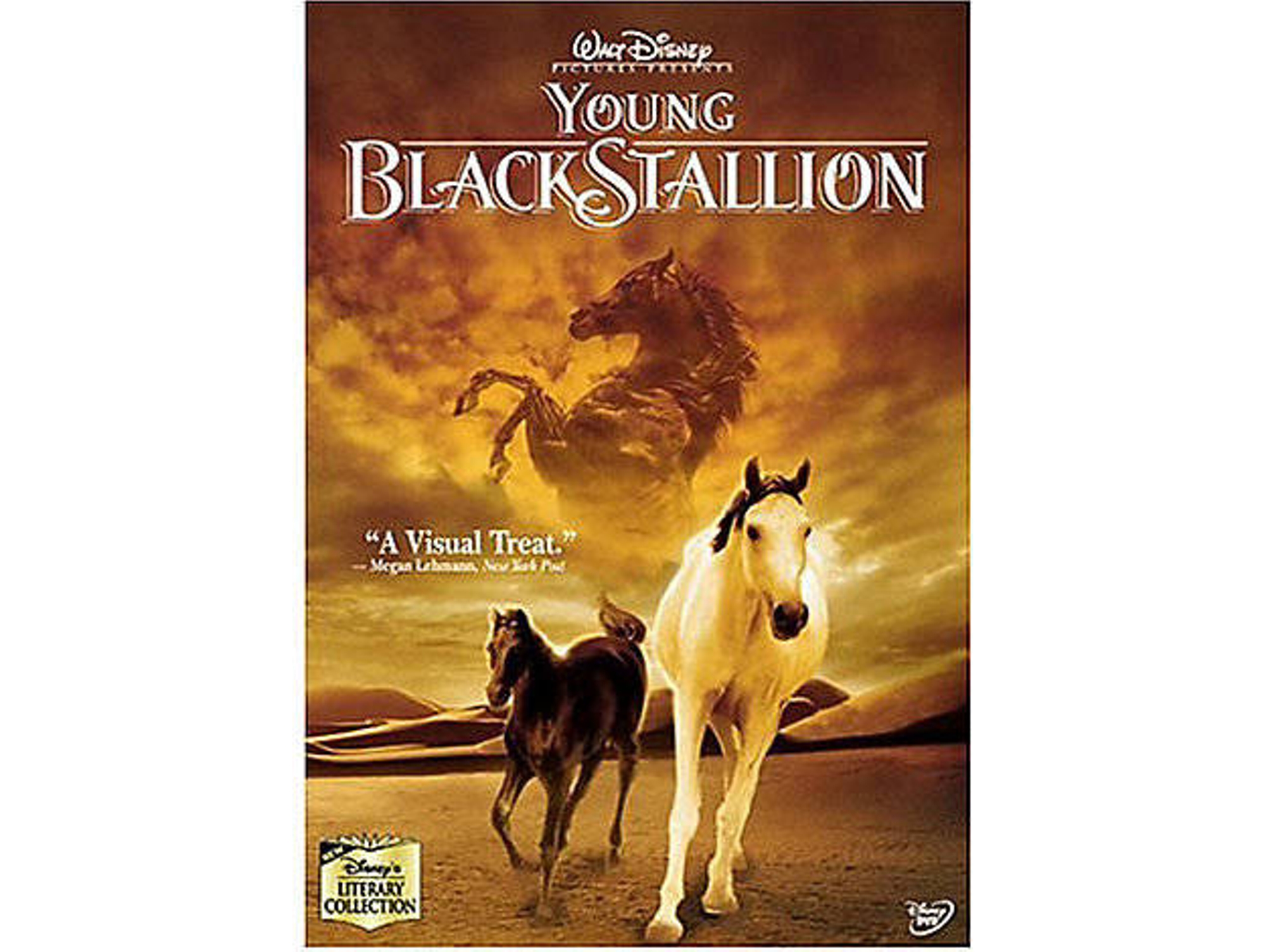 DVD Young Black Stallion Inglés