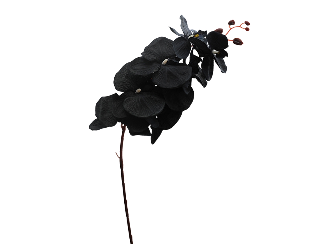 Orquídea mariposa (8 tallos, 2 paquetes, <40 cm)
