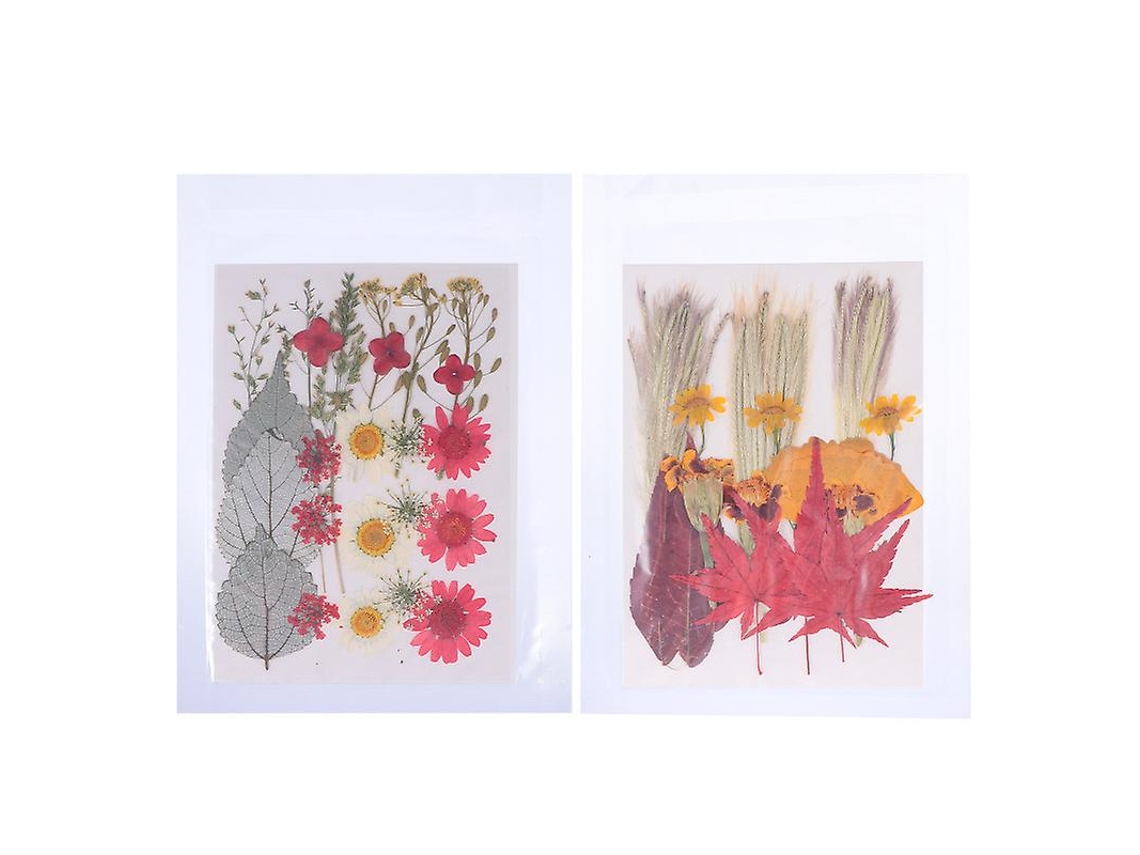 2 juegos de flores secas ALLINLESS