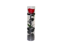 Omni-rosa Preservada Real, Rosa Eterna, Duradera Y Natural Con Tallos Y Hojas Reales Para Regalo Rojo