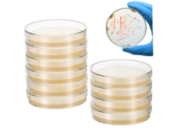 20 Placas De Agar Experimentales De 7 Cm Para Experimentos Científicos Con