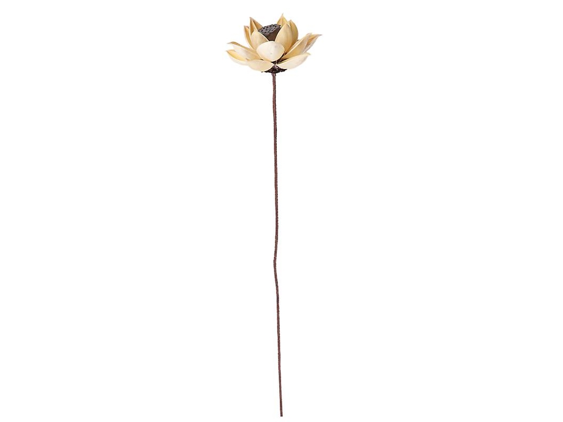 Artesanía de adorno de flores secas para uso decorativo ALLINLESS