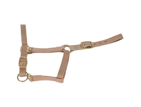 Cabezada para caballos forrada de gamuza T de T