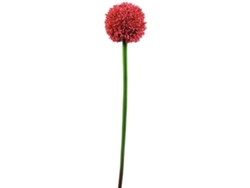 Planta Artificial EUROPALMS Allium (Verde - 55 cm)