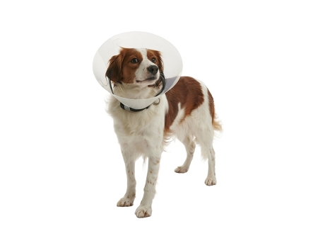 KRUUSE Coleira Elizabetana Transparente Buster Click 7 5 Cm Cães de 1 a 3 kg 1 Unidade