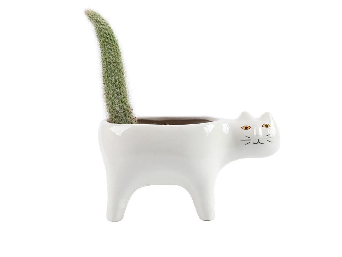 Jarrón decorativo de cerámica para suculentas y cactus pequeños