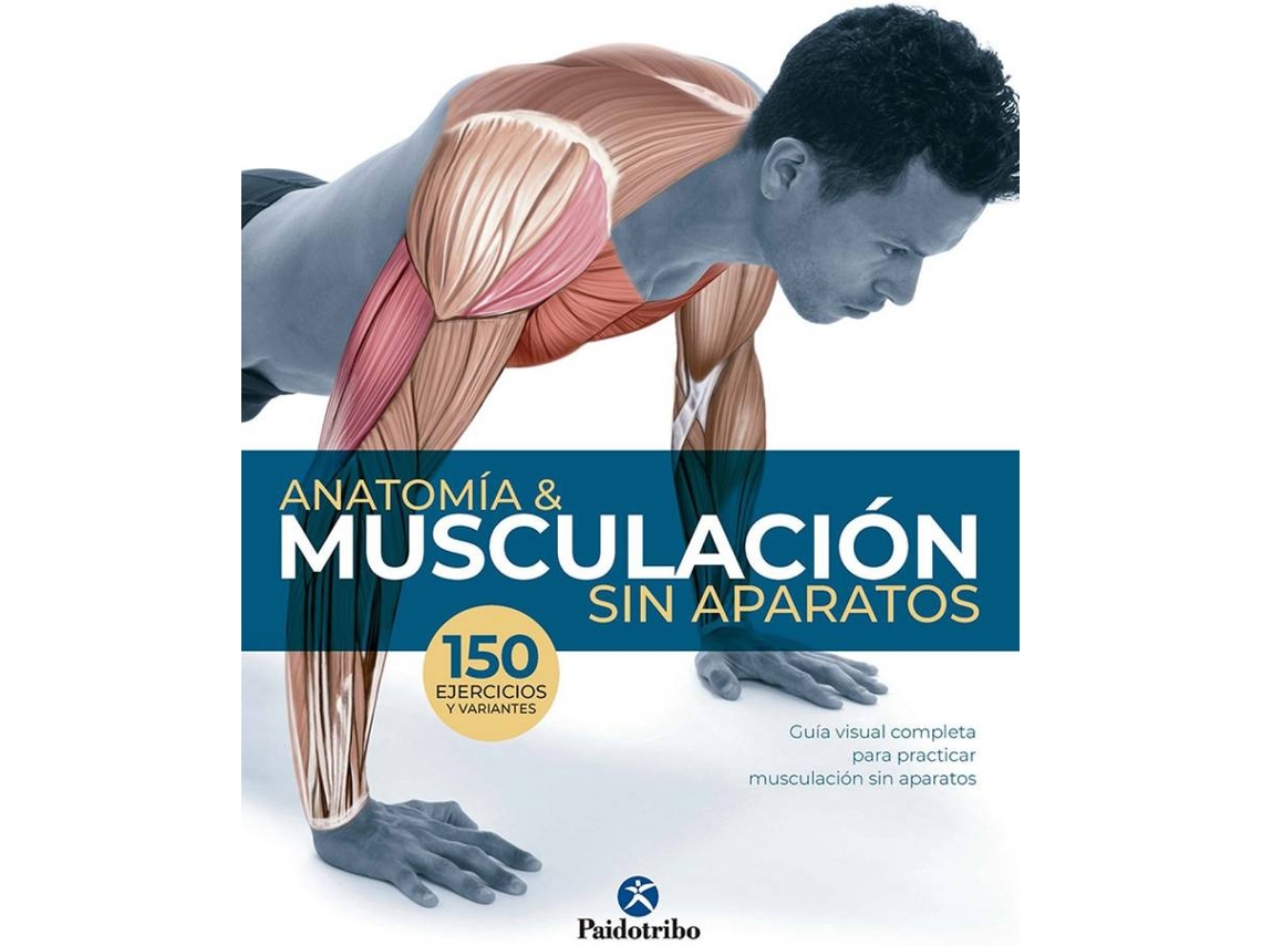 Libro Antomía Y Musculación Sin Aparatos de Guillermo Seijas Albir (Español)