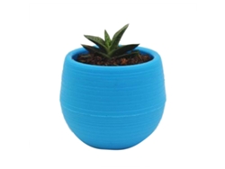 Maceta De Plástico Para Plantas Suculentas Y Plantines Mini Contenedor Floral Para Jardín Balcón Azul