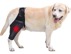 Férula De Joelho Para Cães: Suporte De Quadril E Perna Posterior Ajustável Para Rotura De Lca E Artrite M