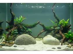 Guijarros decorativos para acuarios, color verde alpino claro / 3 unidades