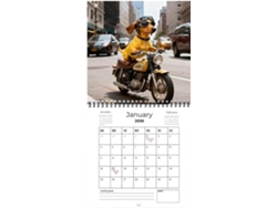 Calendario Dachshund 2026 | Suministros De Planificación 12 Colgante De Animales Para Sala De Estar