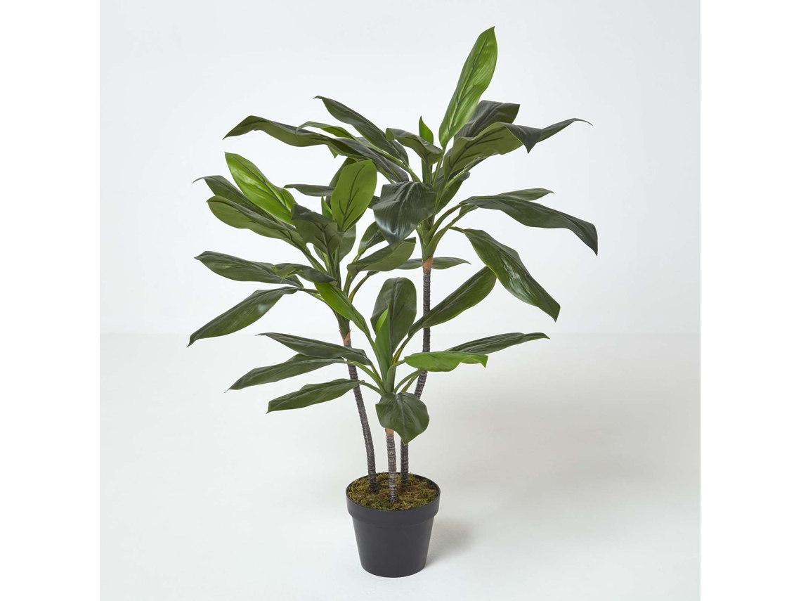 Planta artificial de cordyline de Homescapes en maceta, 100 cm de altura
