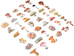 Juego De 120 Pegatinas Con Diseño De Setas Para Scrapbooking, Pegatinas Decorativas Para Manualidades.