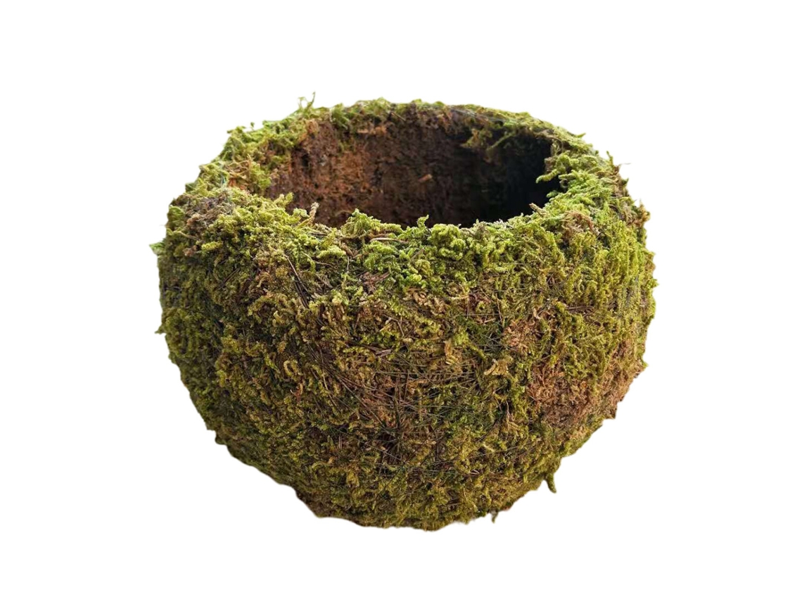 Jardín de bolas de musgo en macetas de estilo japonés