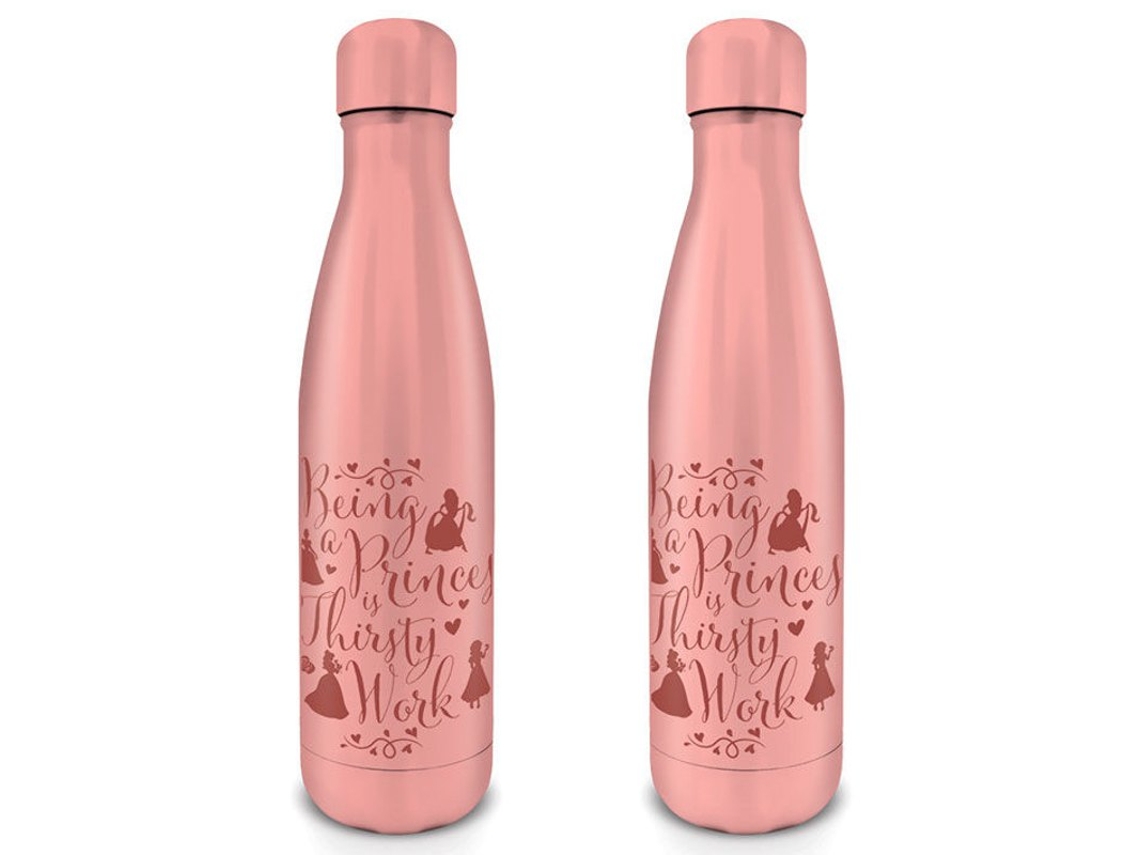 Botella de Outdoor PYRAMID Disney Princess Metal (550 ml)