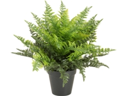 Planta Artificial EUROPALMS Fern (Verde - 48 cm)