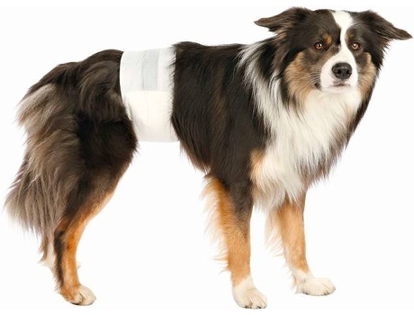 Pañales Desechables para Perros TRIXIE Tam. M-L (12 Unid.)