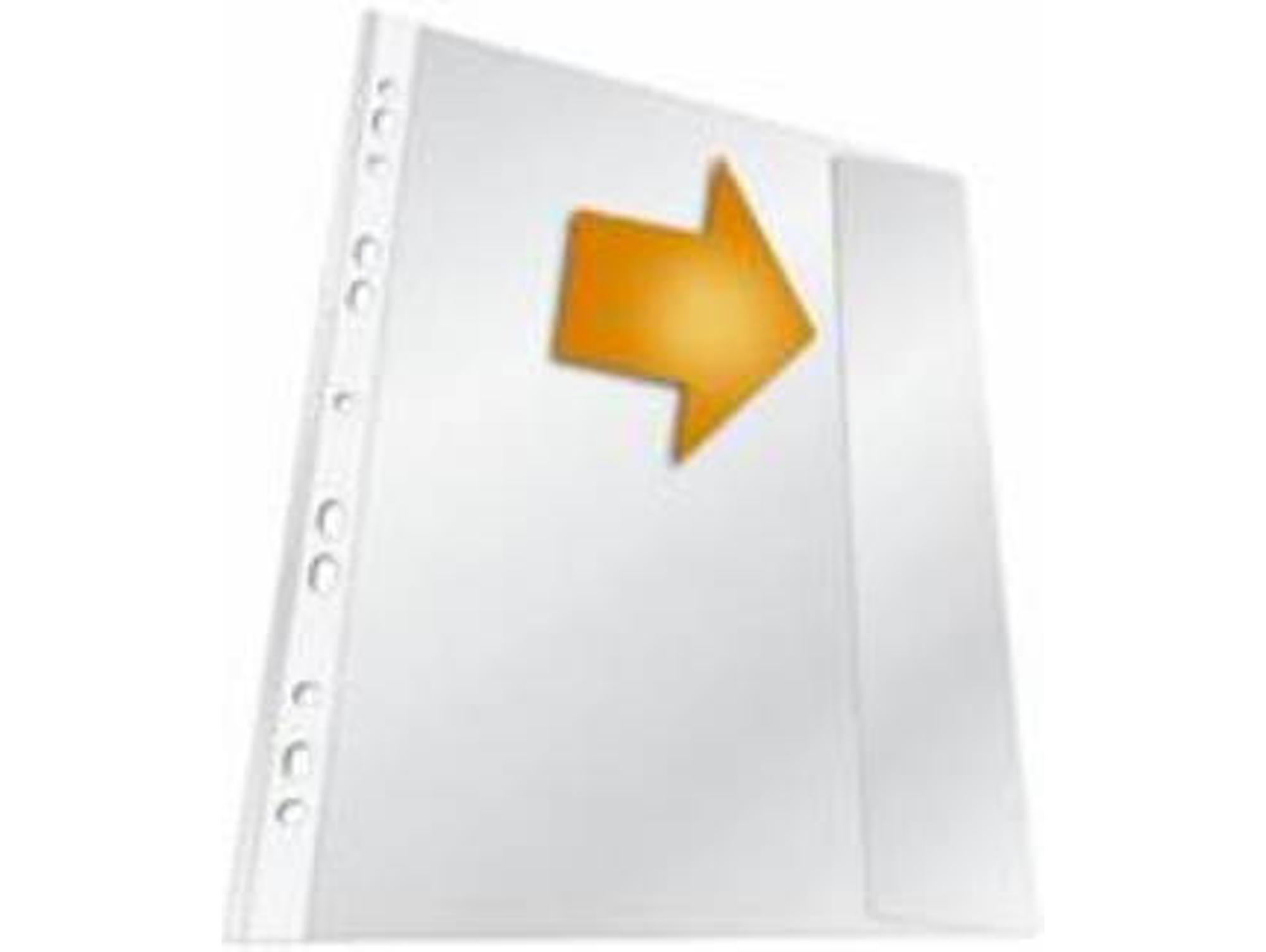 Funda Multitaladro DURABLE 266419 (210x297 mm - Transparente - Polipropileno - A4)